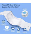 Pet Soft Dog Belly Bands - Washable Male Dog Diapers Belly Band for Male Dogs, Reusable Male Dog Belly Wraps 3pack for Doggy Puppy(Pure, XL)
