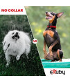 eXuby Extra Small Shock Collar for Small Dogs 5-15lbs - Gentle Plastic Prongs (no Harsh Metal prongs) - Compact & Simple Remote - Dedicated Buttons for Sound, Vibration & Shock - 1000ft Distance