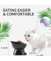 Nihow Slanted Elevated Cat Bowls: 6.25 Inch Ceramic Raised Cat Food Bowl for Protecting Pet's Spine - Microwave & Dishwasher Safe -Elegant Blue & Black (6.8 OZ /1 PC)