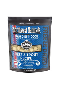Northwest Naturals Freeze Dried Raw Diet for Dogs Freeze Dried Nuggets Dog Food - Beef Trout - Grain-Free, Gluten-Free Pet Food, Dog Training Treats - 12 Oz