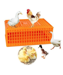 PreAsion Poultry Carrier Crate Plastic Chicken Transport Cage Transport Bird Cages Poultry Chicken/Duck/Goose Carrier Basket for 10-12 Adult Chickens L29XW21XH12inch