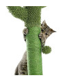 Cactus Cat Scratching Post for Indoor Cats with Natural Sisal Ropes,Cactus Cat Tree,Interactive Ball,Cat Scratcher for Cats and Kittens Green