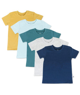 Honestbaby Baby Organic Cotton Short Sleeve T-Shirt Multi-Packs, 5-Pack Ocean Rainbow, 24 Months