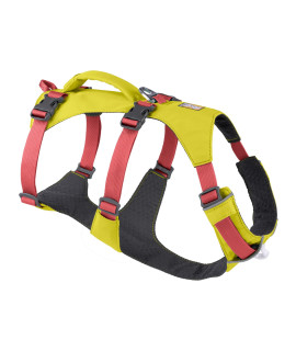 Ruffwear, Flagline Dog Harness, Lightweight Lift-And-Assist Harness With Padded Handle, Lichen Green, X-Small