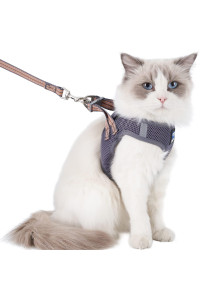 Balaynor Cat Harness And Leash For Walking Escape Proof, Adjustable Soft Mesh Comfortable Vest Harnesses For Cats, Breathable Reflective Strips Easy To Put On Step-In Velcro Jacket (Grey, M)