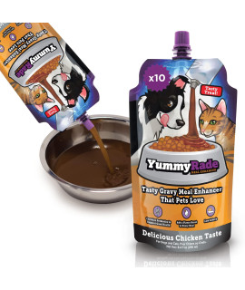 Yummyrade - Pet Meal Topper For Dry Dog Food Cat Food Healthier Gravy Meal Enhancer Tasty Low Calorie Grain Free, Chicken Flavored Flavor-Boosting Gravy Topper Pets Love (250Ml X 10)