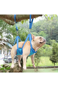 Labpepet Pet Dog Grooming Hammock Harness for Cat & Dog, Dog Sling for Grooming, Dog Hammock Restraint Bag with Nail Clippers/Trimmer, Nail File, Dog Comb Kit