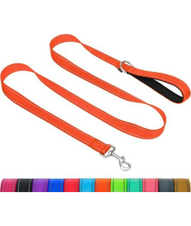 Taglory Double-Sided Reflective Heavy Duty Dog Leash 5Ft,Neoprene Padded Handle And Metal Hook Pet Training Leashes For Small Medium Large Dogs, Orange
