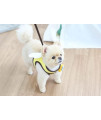 Fashionable Harness for Dog and cat , Honey bee Harness , Simple Fashionable Harness for Small Size Dog and cat (Harness only ) (Honey Bee Harness, Medium)