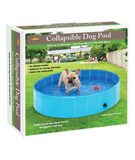 212 Main 5306 Collapsible Dog Pool