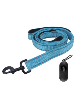 Dog Leash, Heavy Duty Dog Leash, Leashes for Large Breed Dogs 5FT 6FT, Double Handle Dog Leash, Reflective Training Lead, Perfect for Medium to Large Dogs