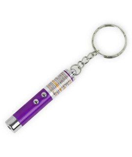 Mini Cat Toys Laser Pointer Pen Keychain Flashlight Funny Dog Stick Pet Lamp White Light Led Infrared Button Electronics Included (1 Pcs Pack, Purple)