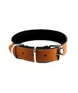 ARYSTAN Genuine Leather Padded Dog Collar - Adjustable Waterproof Dog Collar with Soft Padding (X-Large, Tan)