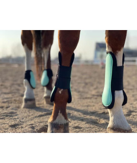 Ride Now Horse Tendon Boots Open Front/Fetlock Boot for Horse Set of 4 (Cob, Mint)