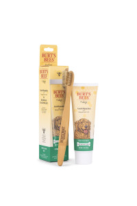 Burt's Bees for Dogs Natural Oral Care Kit | Dog Dental Kit with Toothpaste & Bamboo Toothbrush | Dog Toothbrush and Toothpaste with Honeysuckle & Peppermint Oil, Fresh Mint Flavor (2.5 oz)