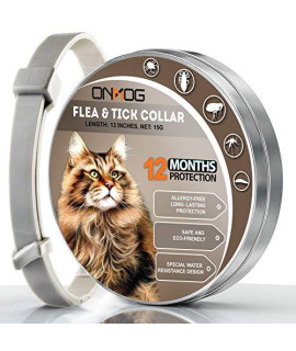 YiXiEr Cat Collar, Collar for Cats with Natural Herbs and Oils, Long-Lasting up to 12 Months, Easy to Use, Powerful Effect Collar for All Cat Breeds, 13 Inches in Length