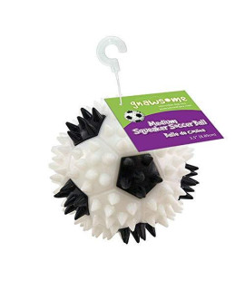 3.5? Squeaker Soccer Ball Dog Toy - Medium, Promotes Dental and Gum Health for Your Pet, Colors Will Vary (4 Pack)
