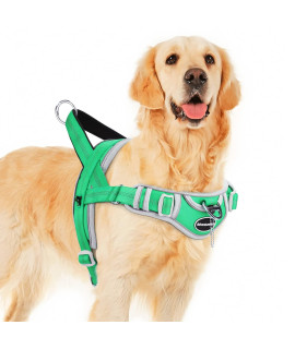 Adventuremore Escape Proof Dog Harness, Adjustable Reflective Breathable Dog Vest, No Pull Dog Harness With Easy Control Front Clip Handle For Small Dogs Xxl Green