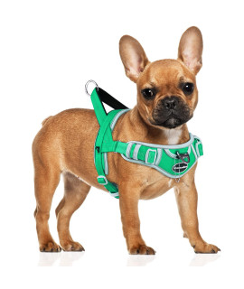 Adventuremore Dog Harness For Small Dogs No Pull, Dog Halter Harness Adjustable Reflective Dog Vest Escape Proof Dog Harness With Easy Control Front Clip Handle For Training Walking S Green