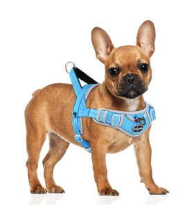 Adventuremore Dog Harness For Small Dogs No Pull, Dog Halter Harness Adjustable Reflective Dog Vest Escape Proof Dog Harness With Easy Control Front Clip Handle For Training Walking S Blue
