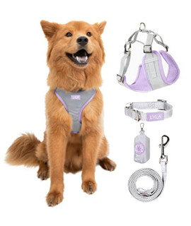 Reflective Dog Collar And Leash Set With Reflective Dog Vest Harness For Small Dogs And Dog Poop Bag Holder - Dog Accessories For Night Walking (Lavender, Small)