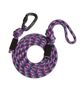 Wilderdog Carabiner Climbing Rope Dog Leash for Medium & Large Dogs - 10ft - Razzleberry - 1Ct