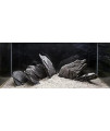 H2Pro Black Slate Rock Aquarium Decoration (44lb Per Box) (DRA-1-101)