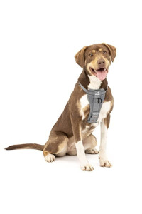 Kurgo Tru-Fit Enhanced Strength Dog Harness - Crash Tested Car Safety Harness for Dogs, No Pull Dog Harness, Includes Pet Safety Seat Belt, Steel Nesting Buckles (Charcoal, Medium)