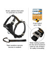 Kurgo Tru-Fit Enhanced Strength Dog Harness - Crash Tested Car Safety Harness for Dogs, No Pull Dog Harness, Includes Pet Safety Seat Belt, Steel Nesting Buckles (Charcoal, Medium)