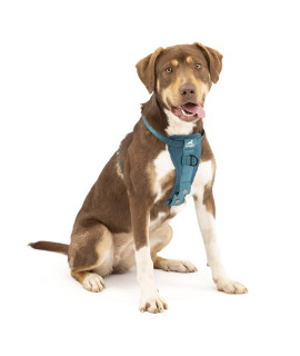 Kurgo Tru-Fit Enhanced Strength Dog Harness - Crash Tested Car Safety Harness for Dogs, No Pull Dog Harness, Includes Pet Safety Seat Belt, Steel Nesting Buckles (Ink Blue, Medium)