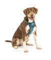 Kurgo Tru-Fit Enhanced Strength Dog Harness - Crash Tested Car Safety Harness for Dogs, No Pull Dog Harness, Includes Pet Safety Seat Belt, Steel Nesting Buckles (Ink Blue, Medium)