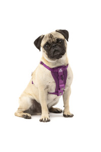 Kurgo Tru-Fit Enhanced Strength Dog Harness - Crash Tested Car Safety Harness for Dogs, No Pull Dog Harness, Includes Pet Safety Seat Belt, Steel Nesting Buckles (Deep Violet, Small)