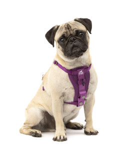 Kurgo Tru-Fit Enhanced Strength Dog Harness - Crash Tested Car Safety Harness for Dogs, No Pull Dog Harness, Includes Pet Safety Seat Belt, Steel Nesting Buckles (Deep Violet, Small)