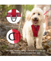 Kurgo Tru-Fit Enhanced Strength Dog Harness - Crash Tested Car Safety Harness for Dogs, No Pull Dog Harness, Includes Pet Safety Seat Belt, Steel Nesting Buckles (Deep Violet, X-Large)