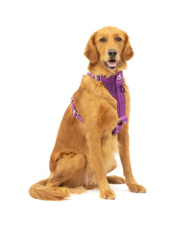 Kurgo Tru-Fit Enhanced Strength Dog Harness - Crash Tested Car Safety Harness for Dogs, No Pull Dog Harness, Includes Pet Safety Seat Belt, Steel Nesting Buckles (Deep Violet, Large)