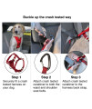Kurgo Tru-Fit Enhanced Strength Dog Harness - Crash Tested Car Safety Harness for Dogs, No Pull Dog Harness, Includes Pet Safety Seat Belt, Steel Nesting Buckles (Charcoal, Large)