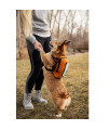 K9 Sport Sack Walk-On | Dog Carrier Dog Backpack with Harness & Storage (Medium, Sunset Orange)