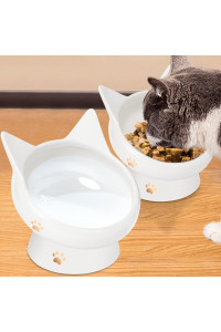 Cat Bowls, Ceramic Cat Food And Water Bowl Set Anti Vomiting, Tilted Elevated Bowls For Cat, Small Dogs, Protect Pets Spine, Dishwasher And Microwave Safe,2 Pack