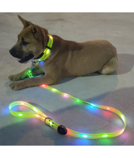 LED Light UP Dog Leash and Light UP Dog Collars Rechargeable Waterproof Glow in The Dark Dog Leash with Light Luminous Reflective Dog Lights for Pet Safety Night Walking