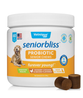 Vetnique Labs Seniorbliss Aging Dog (7+) Senior Dog Vitamins and Supplements, Supports Heart, Allergy, Arthritis, Skin and Coat - furever Young (Probiotic Chew, 60ct)