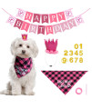Pet Dog Birthday Party Supplies - Girl Dog Birthday Bandana With Dog Birthday Party Hat, Dog Happy Birthday Banner And Numbers For Puppy Small Medium Large Dogs Pets