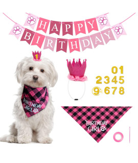 Pet Dog Birthday Party Supplies - Girl Dog Birthday Bandana With Dog Birthday Party Hat, Dog Happy Birthday Banner And Numbers For Puppy Small Medium Large Dogs Pets