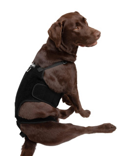 Labra Dog Canine K9 Back Brace - IVDD Spine Pain & Spinal Injury, Arthritis, Bulging Discs Brace for Corgis, Dachshund, Post Surgery Recovery, Rehab, Inflammation - Extra Extra Large