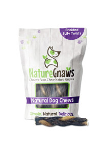 Nature Gnaws Braided Twists For Dogs - Premium Natural Beef Dog Chew Treats - Combo Of Bully Sticks And Beef Gullet - Long Lasting Training Reward
