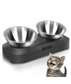 AYADA Raised Cat Food Bowl Set, Stainless Steel Cat Dish for Food Water Anti Vomiting Elevated with Stand Ergonomic Lifted Slanted Tilted 15 Angle Metal Double Kitty Kitten Wet Food Bowl 2 Pet Bowl