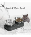 AYADA Raised Cat Food Bowl Set, Stainless Steel Cat Dish for Food Water Anti Vomiting Elevated with Stand Ergonomic Lifted Slanted Tilted 15 Angle Metal Double Kitty Kitten Wet Food Bowl 2 Pet Bowl