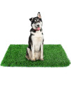 Globreen Dogs Artificial Grass Pee Pads, Puppy Potty Training Turf, Pets Fake Grass Mat For Indoor Outdoor, 45 X 32