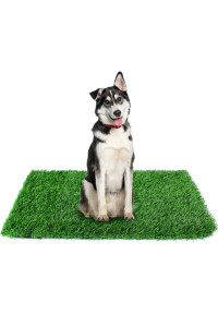 Globreen Dogs Artificial Grass Pee Pads, Puppy Potty Training Turf, Pets Fake Grass Mat For Indoor Outdoor, 45 X 32