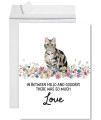 Andaz Press Jumbo Pet Sympathy Card With Envelope, Sorry For Your Loss, American Shorthair Cat, Pet Loss, Cat Grief Bereavement Card With Big Blank Space To Send To Friends, Family, 85 X 11, 1-Pack