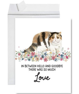 Andaz Press Jumbo Pet Sympathy Card With Envelope, Sorry For Your Loss, Exotic Shorthair Cat, Pet Loss, Cat Grief Bereavement Card With Big Blank Space To Send To Friends, Family, 85 X 11, 1-Pack